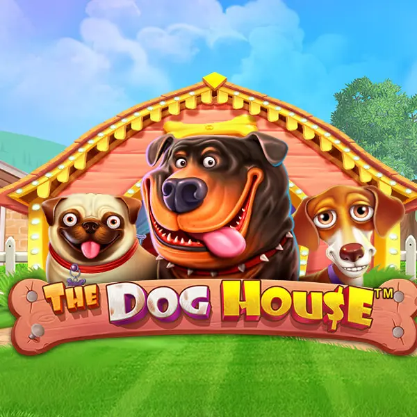 the dog house